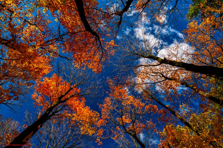 Kerncliff Park, Burlington, Ontario