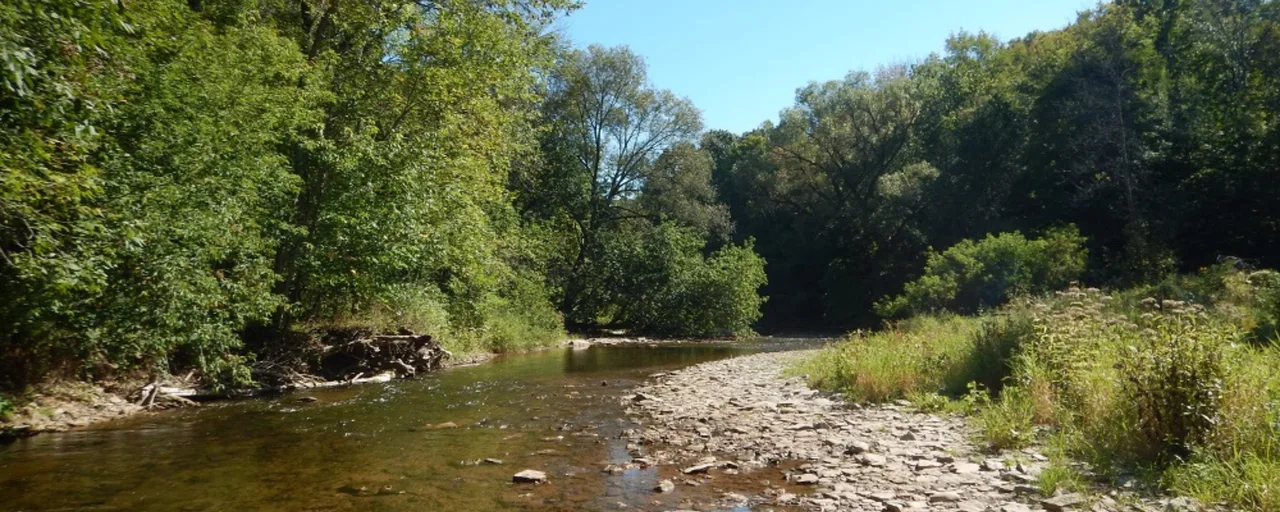 Bronte Creek and its wooded banks in a source photograph