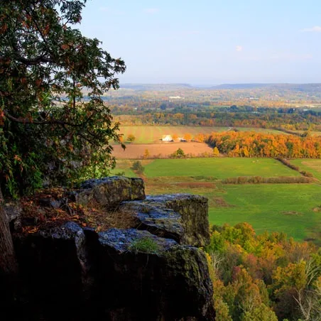 Fields and trees seen from the Mount Nemo lookout